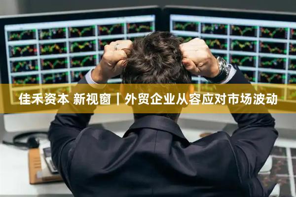 佳禾资本 新视窗|外贸企业从容应对市场波动