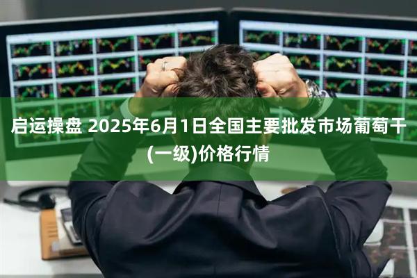 启运操盘 2025年6月1日全国主要批发市场葡萄干(一级)价格行情