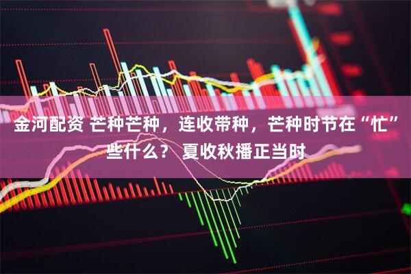 金河配资 芒种芒种，连收带种，芒种时节在“忙”些什么？ 夏收秋播正当时