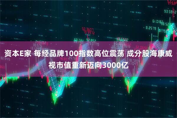 资本E家 每经品牌100指数高位震荡 成分股海康威视市值重新迈向3000亿