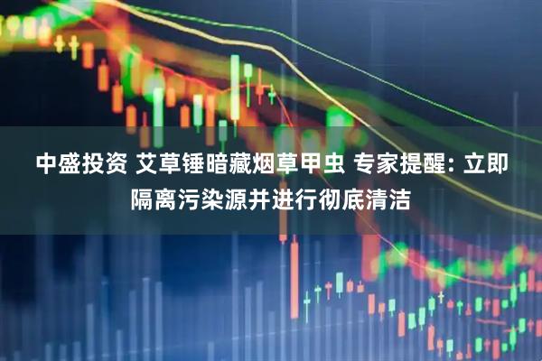 中盛投资 艾草锤暗藏烟草甲虫 专家提醒: 立即隔离污染源并进行彻底清洁