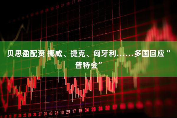 贝思盈配资 挪威、捷克、匈牙利……多国回应“普特会”