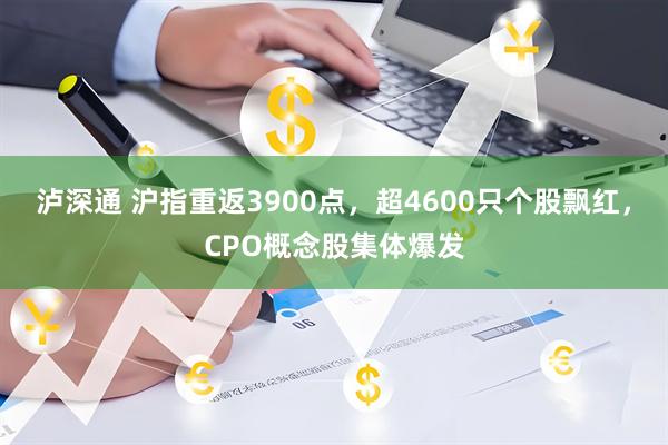 泸深通 沪指重返3900点，超4600只个股飘红，CPO概念股集体爆发